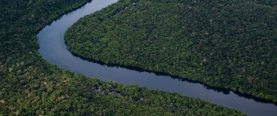 Déforestation: accord inédit de l’UE pour verdir ses importations Déforestation: accord inédit de l’UE pour verdir ses importations