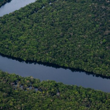 Déforestation: accord inédit de l’UE pour verdir ses importations Déforestation: accord inédit de l’UE pour verdir ses importations