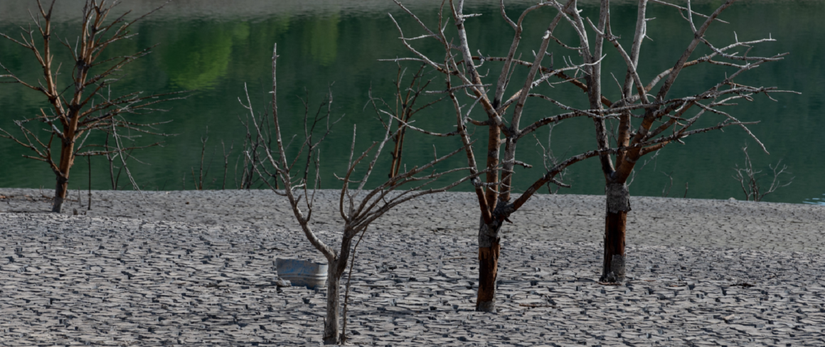 Rivières à sec, chaleur estivale record, incendies: comment le changement climatique a frappé l’Europe en 2022 Rivières à sec, chaleur estivale record, incendies: comment le changement climatique a frappé l’Europe en 2022