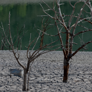 Rivières à sec, chaleur estivale record, incendies: comment le changement climatique a frappé l’Europe en 2022 Rivières à sec, chaleur estivale record, incendies: comment le changement climatique a frappé l’Europe en 2022
