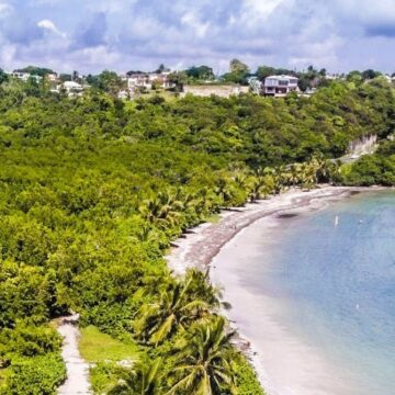 Le Gosier, vue aérienne de la plage des salines, mangrove à l'arrière-plan Le Gosier, vue aérienne de la plage des salines, mangrove à l'arrière-plan
