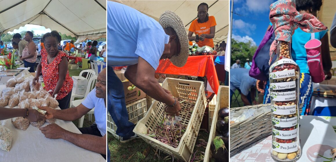 La 6ème édition de la journée des pois organisée dimanche 10 mars 2024 à Anse-Bertrand a été un succès de fréquentation. Photo : FB Anse-Bertrand, l'Authentique La 6ème édition de la journée des pois organisée dimanche 10 mars 2024 à Anse-Bertrand a été un succès de fréquentation. Photo : FB Anse-Bertrand, l'Authentique