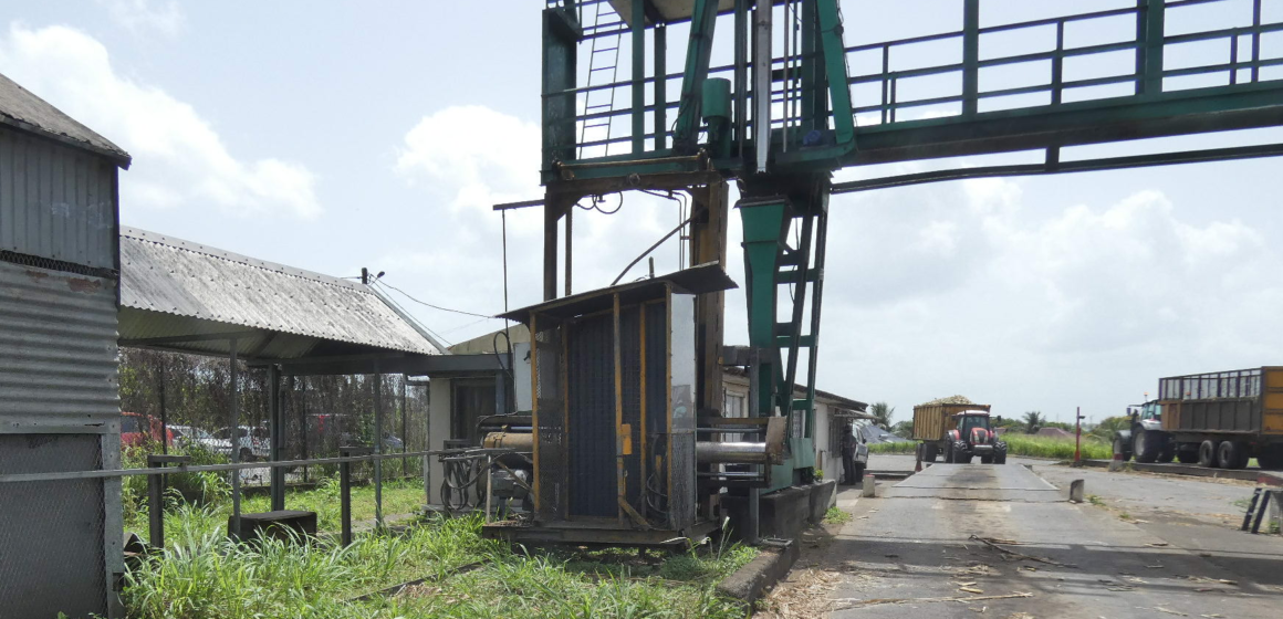 Livraison de cannes à l'usine Gardel au Moule en Guadeloupe Livraison de cannes à l'usine Gardel au Moule en Guadeloupe