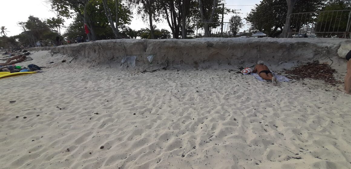 Guadeloupe, Saint-François, plage des Raisins-Clairs, 17 avril 2022. L'érosion a mis au jour au début des années 2010 un ancien cimetière d'esclaves, et les serviettes de plage tutoient les ossements qui affleurent. Photo : Francesca Bertoldi Guadeloupe, Saint-François, plage des Raisins-Clairs, 17 avril 2022. L'érosion a mis au jour au début des années 2010 un ancien cimetière d'esclaves, et les serviettes de plage tutoient les ossements qui affleurent. Photo : Francesca Bertoldi