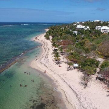 Vue aérienne de la plage de l'autre bord au Moule. Photo: DR Vue aérienne de la plage de l'autre bord au Moule. Photo: DR