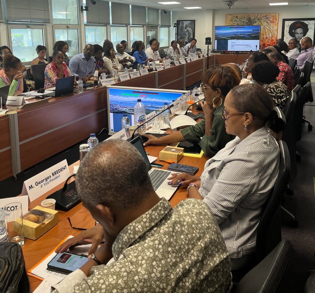 Vue sur les écrans de la salle du conseil communautaire de Cap Excellence lors de la séance du vendredi 24 avril 2026 à Pointe-à-Pitre où siègent 28 élus. Photo : LCG