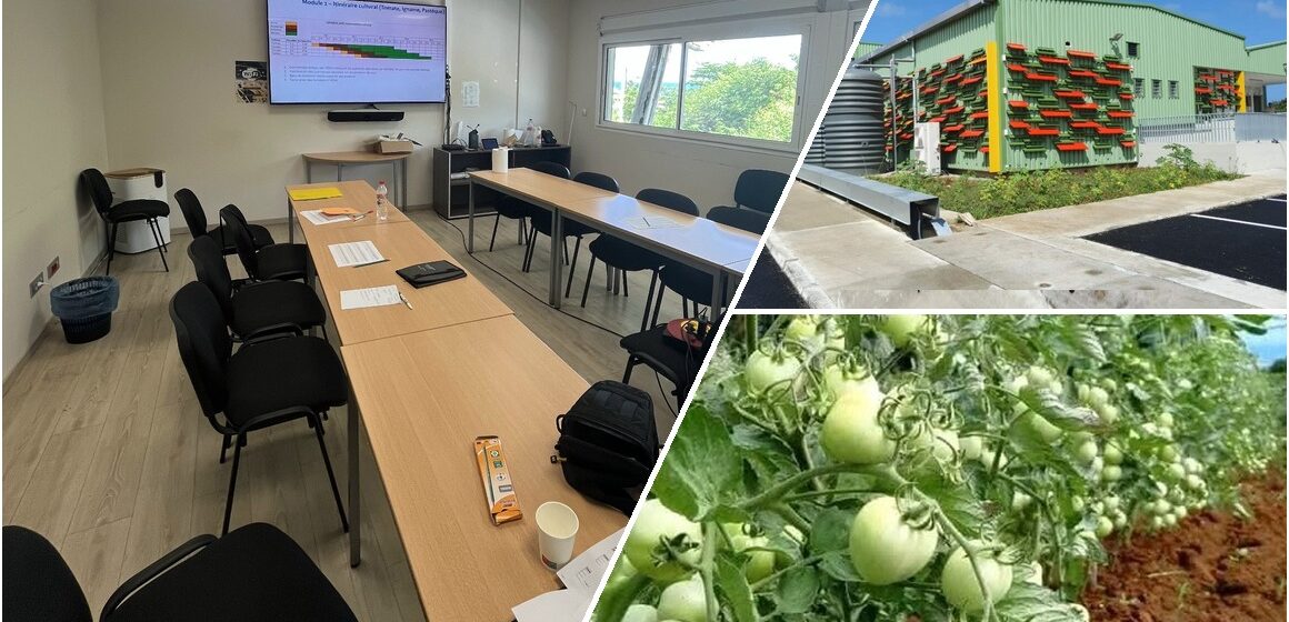 Photomontage : à gauche la salle de l’atelier « de la parcelle à Lizin Santral » le 13 avril 2026 au Moule ; en haut à droite l’extérieur de l’usine agroalimentaire Lizin santral. Photo : LCG DR
