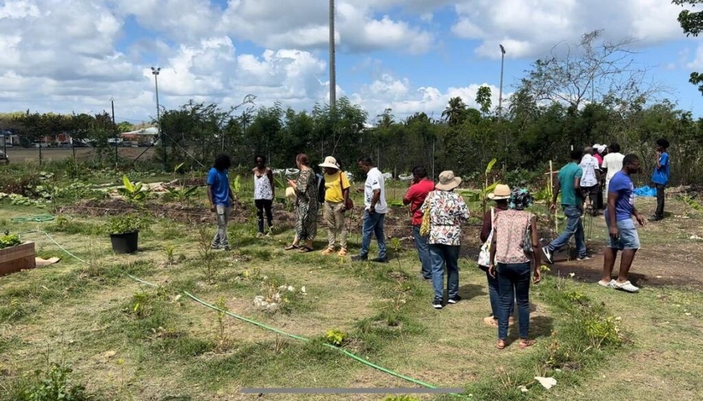 Le jardin solidaire de l'école Josette-Erhard de Pelletan est inauguré à Port-Louis, 7 mai 2026. Photo : Ville de Port-Louis