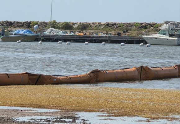 « 23 juillet 2026. Barrage Polmar installé au port de la Désirade. Déjà dégonflé » commente une internaute le 23 juillet 2026. Photo : FB Corinne Ramade.
